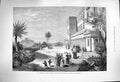 Original Old Antique Print 1877 Princess Wales Athens Palace Garden Acropolis