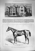 Original Old Antique Print 1877 London Hospital Children Shadwell Chamant Horse