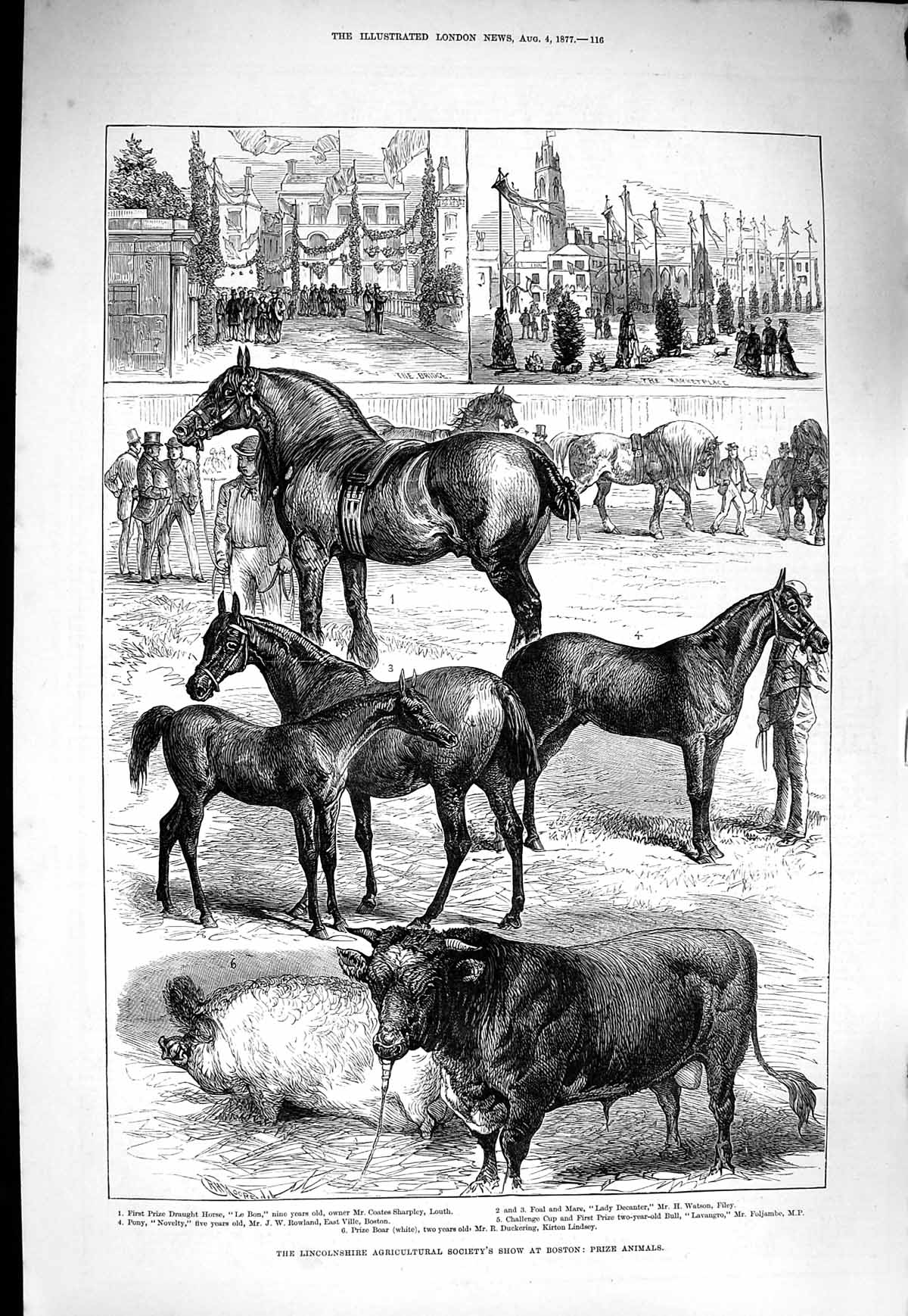 Antique Old Print *4033 1877 Lincolnshire Agricultural Society Show Boston