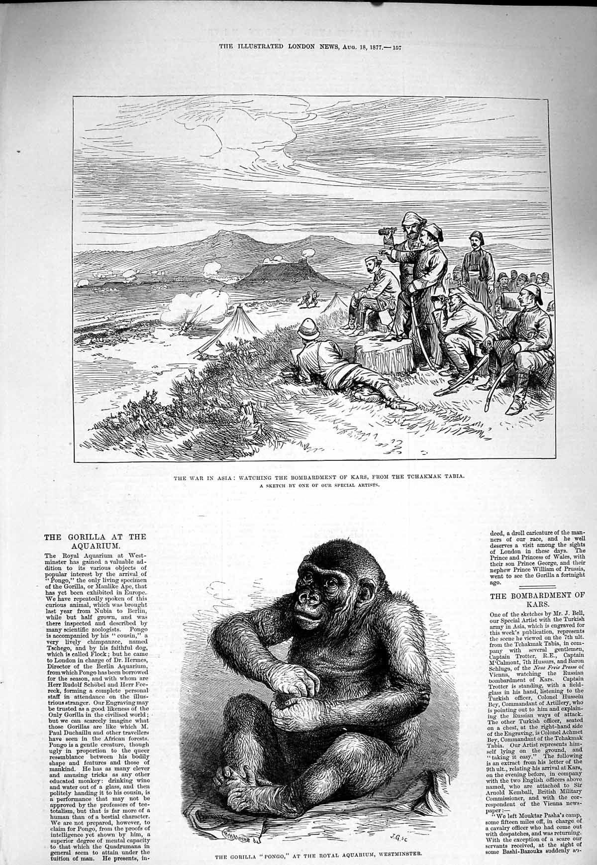 Old Antique Print 1877 War Asia Kars Tchakmak Tabia Gorilla Pongo London 19th