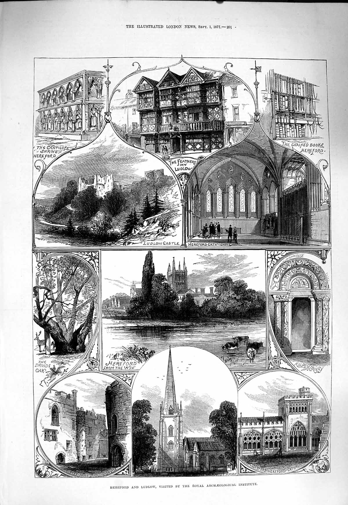 Old Antique Print 1877 Hereford Ludlow Castle Lady Chapel Druids Oak Tree 19th