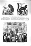 Original Old Antique Print 1878 Prince Stone Mary'S Church Southampton Saki Zoo