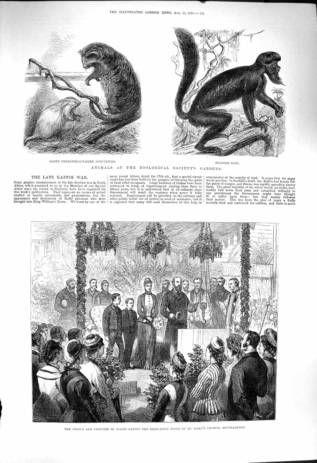 Original Old Antique Print 1878 Prince Stone Mary'S Church Southampton Saki Zoo