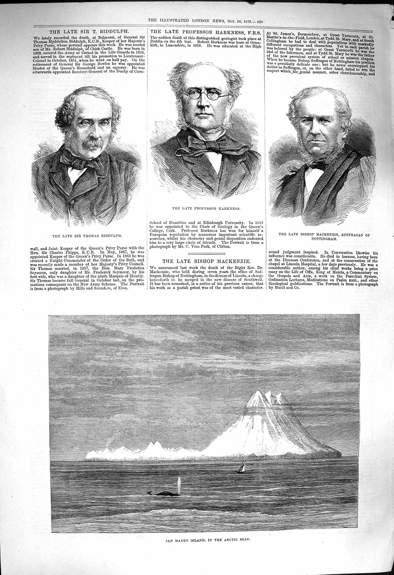 Original Old Antique Print 1878 Jan Mayen Arctic Sea Harknes Mackenzie Biddulph