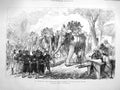 Old Antique Print 1878 Afghan War Cabul Force Goorkhas Terai Elephants 19th