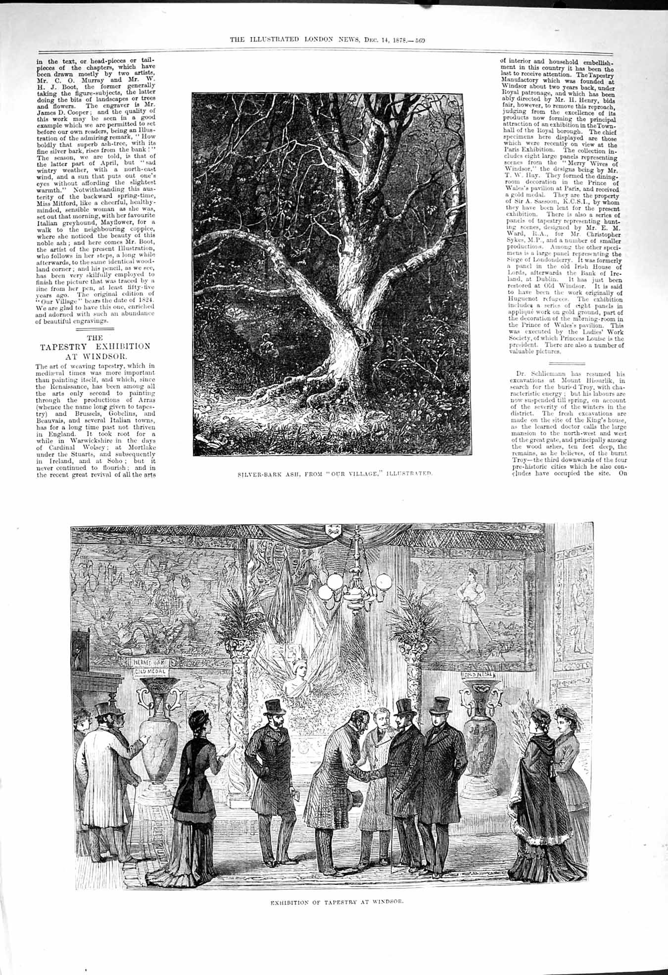 Old Antique Print 1878 Exhibition Tapestry Woolwich Silver-Bark Ash Tree 19th