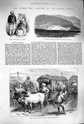 Original Old Antique Print 1879 Afghan War Ali Musjid Commissariat Bullock Vans