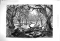 Original Old Antique Print 1879 Thames Floods Scene Home Park Windsor London