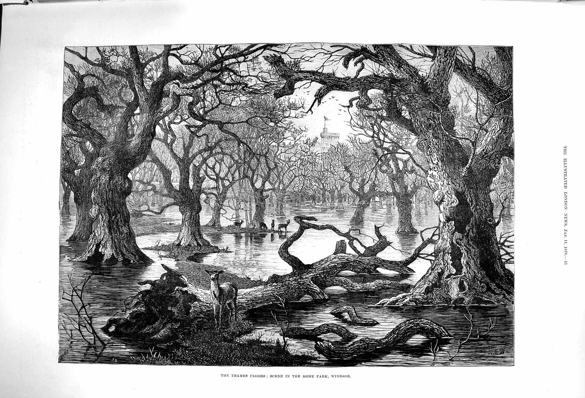 Original Old Antique Print 1879 Thames Floods Scene Home Park Windsor London