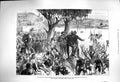Original Old Antique Print 1879 Zulu War Siers Tugela River Lord Chelmsford