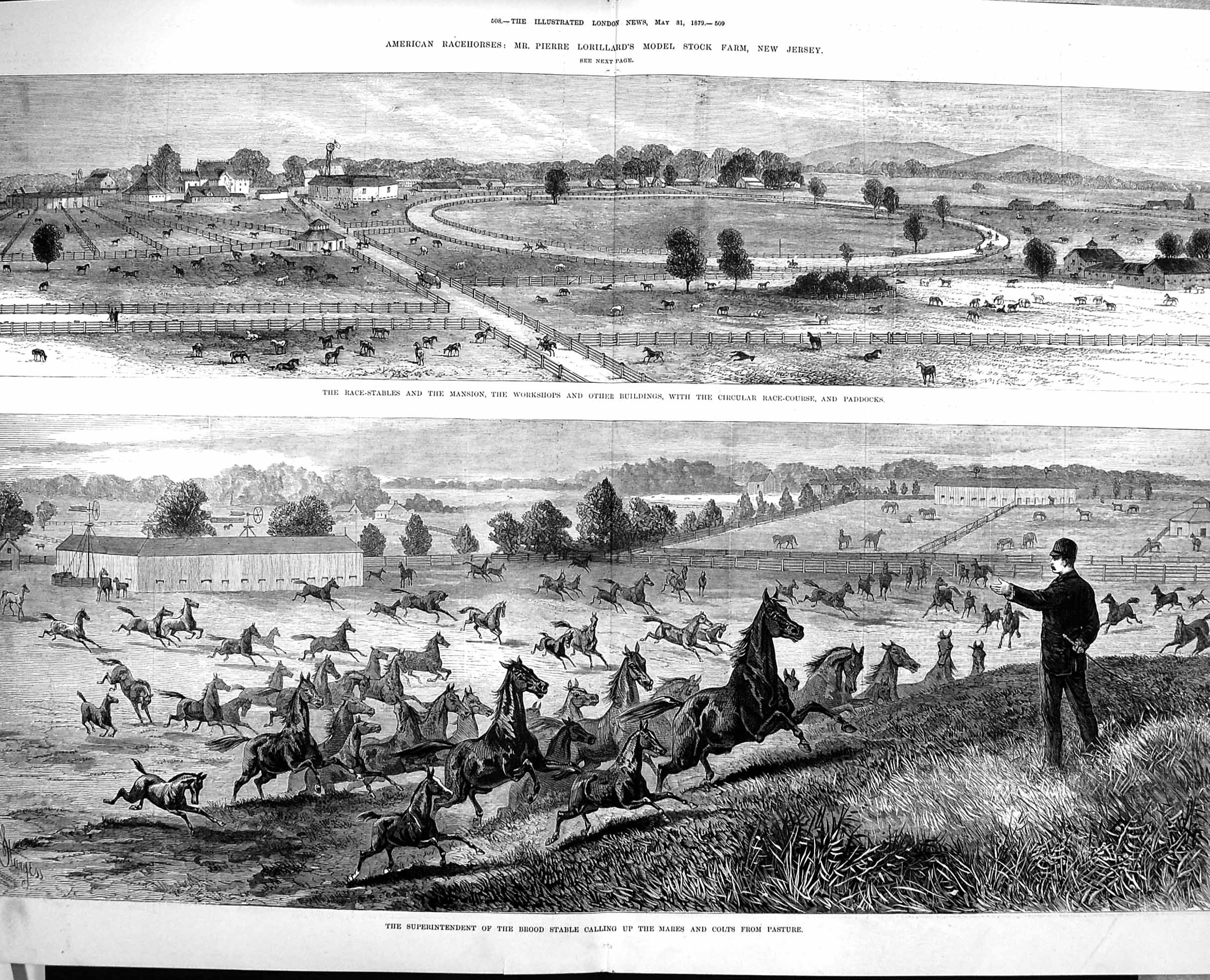 Original Old Antique Print 1879 American Race Horses Pierre Lorillard Farm 19th