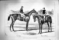 Old Antique Print 1879 Horses Winners Derby Oaks Sir Bevys Wheel Fortune 19th