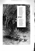 Original Old Antique Print 1879 Morning Bath Birds Song Lyrics Nature Trees