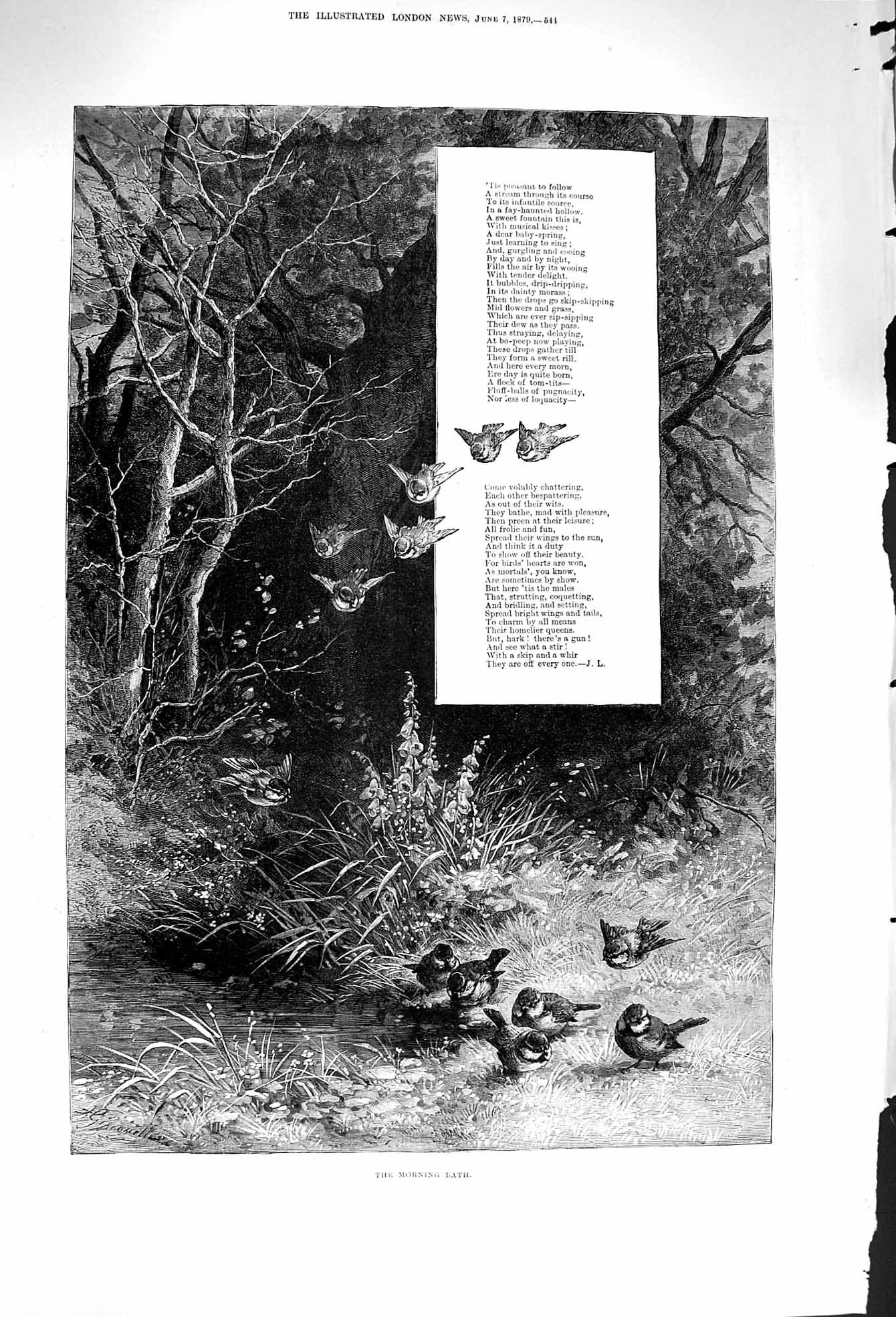 Original Old Antique Print 1879 Morning Bath Birds Song Lyrics Nature Trees