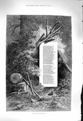 Original Old Antique Print 1879 Birds Busily Flitting To And Fro Song Lyrics