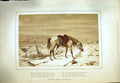 Original Old Antique Print 1879 Lone Horse After The Battle Railway Track War