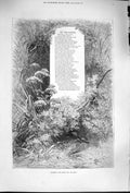 Old Antique Print 1879 Reed-Warbler Poem Trees Bird Skimming Quiet Pool 19th
