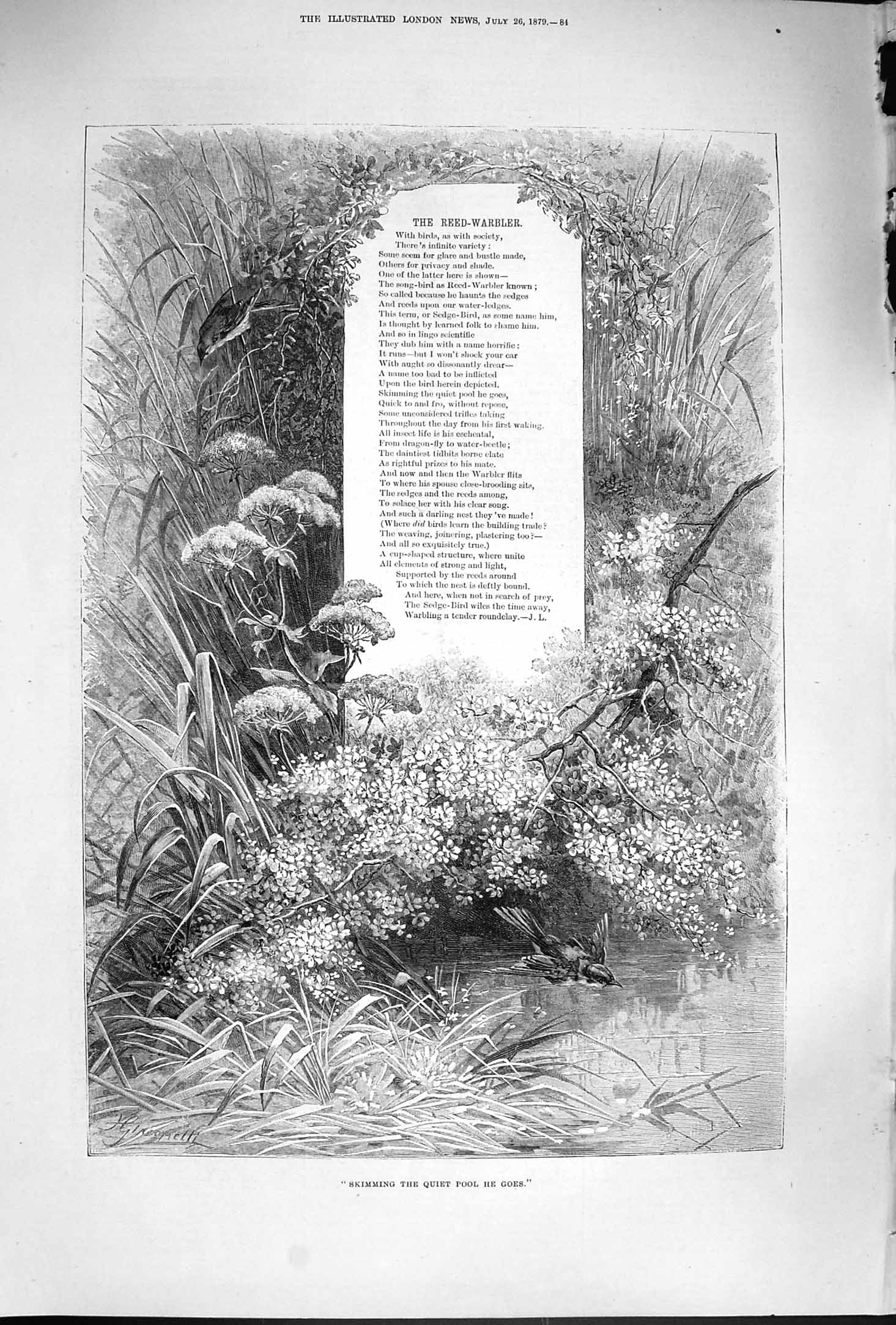 Old Antique Print 1879 Reed-Warbler Poem Trees Bird Skimming Quiet Pool 19th