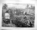Original Old Antique Print 1879 Military Evacuation Zululand War Block Siers