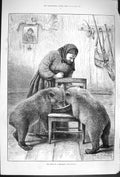 Original Old Antique Print Lady Hunting Rifles Wild Bears 1879 Twins Beckmann