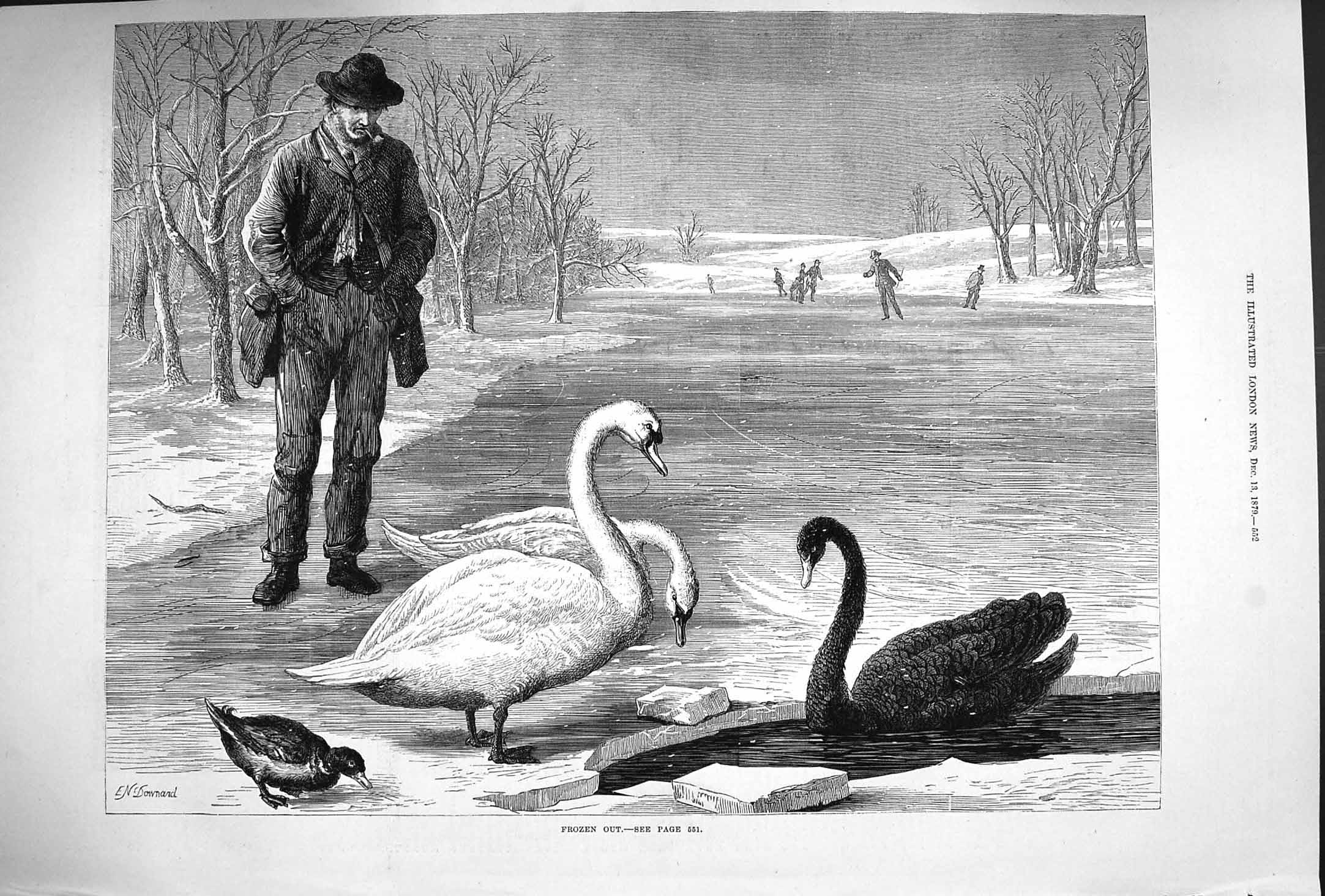Original Old Antique Print 1879 Frozen Out Swans Birds Ice Lake Man Fine Art