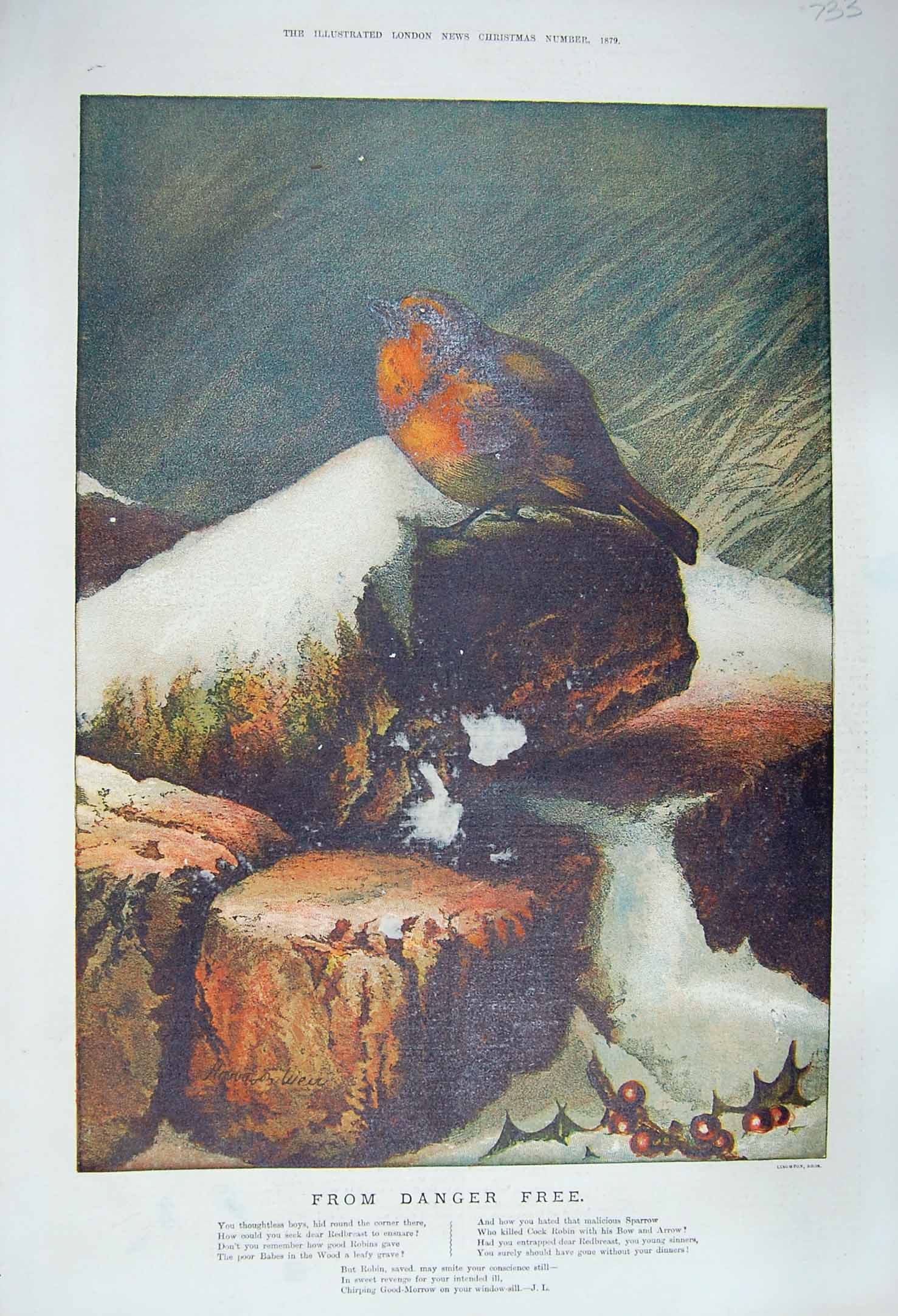 Original Old Antique Print 1879 From Danger Free Damaged Robin Redbreast Bird