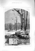 Original Old Antique Print 1880 Weather Month January Trees Snow Birds Montbard