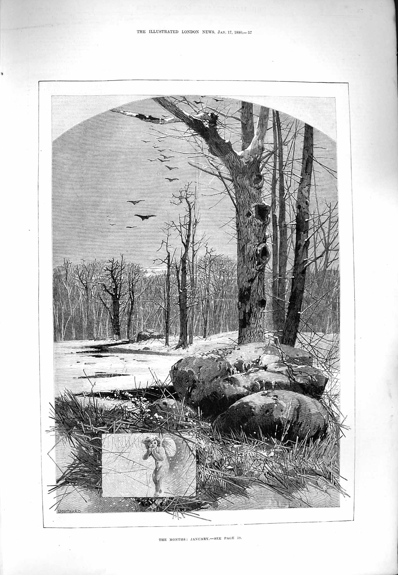 Original Old Antique Print 1880 Weather Month January Trees Snow Birds Montbard