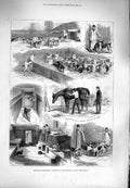 Old Antique Print 1880 Royal Buckhounds Dogs Kennels Ascot Horses Hunting 19th