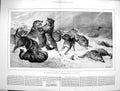 Old Antique Print 1880 Struggle Existence Pack Wolves Fighting Animals 19th