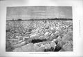 Original Old Antique Print 1880 Winter Scene France Loire Saumur 19th