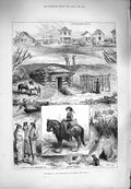 Original Old Antique Print 1880 Settlement Minnesota Frontier Town Camp Horses