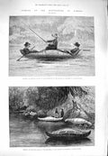 Original Old Antique Print 1880 Fishing Ristigouche Canada River Boat Louise