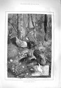 Original Old Antique Print 1880 View Month April Countryside Stream Trees 19th
