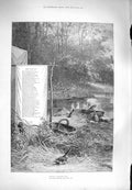 Original Old Antique Print 1880 Nature Wagtails Birds River Trees Victorian