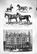 Old Antique Print 1880 Buildings Temple Gardens Horse Show Jarge Pharaoh 19th