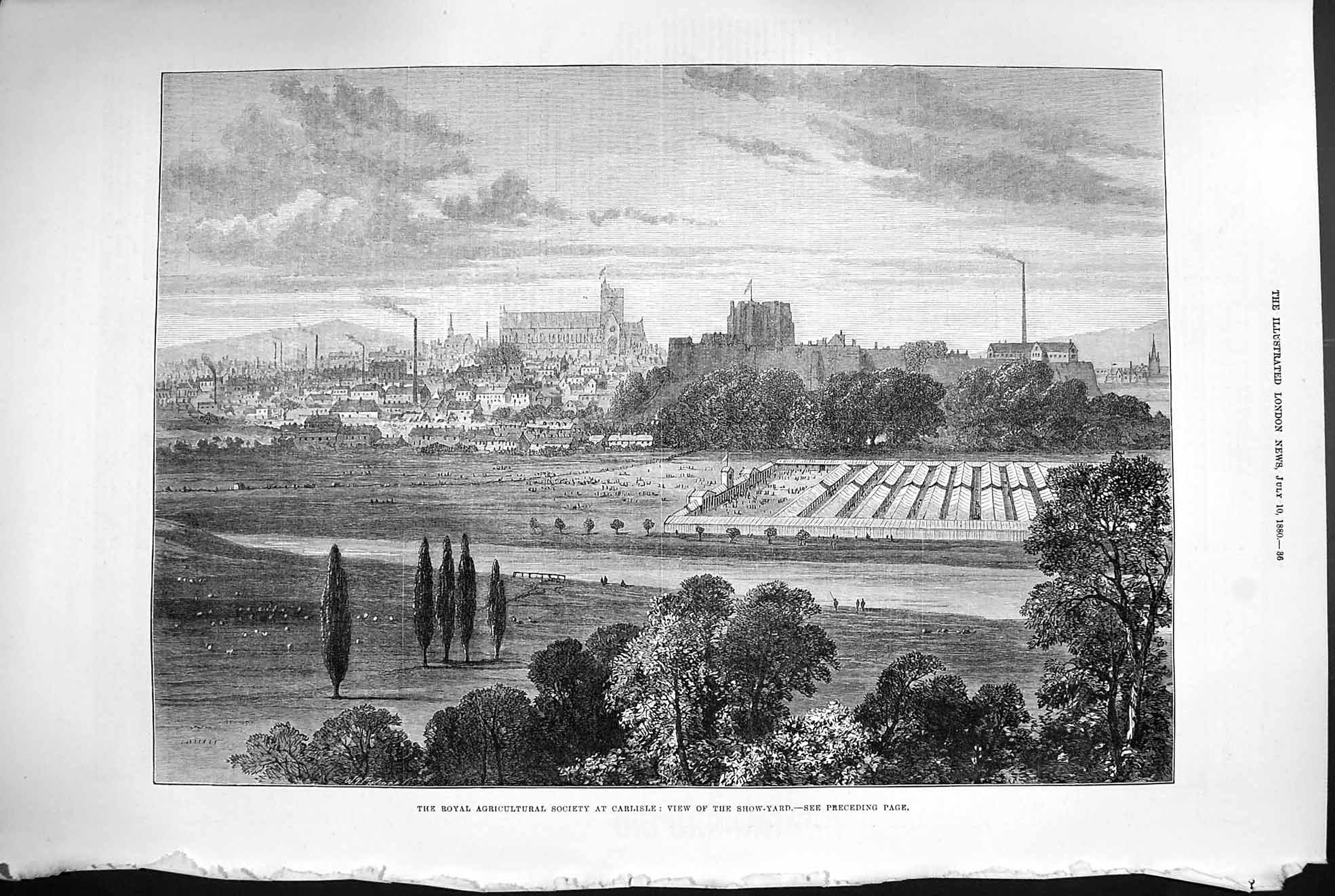 Original Old Antique Print 1880 Show Yard Royal Agricultural Society Carlisle