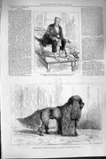 Original Old Antique Print 1880 Tanner Nero German Corded-Coated Poodle 19th