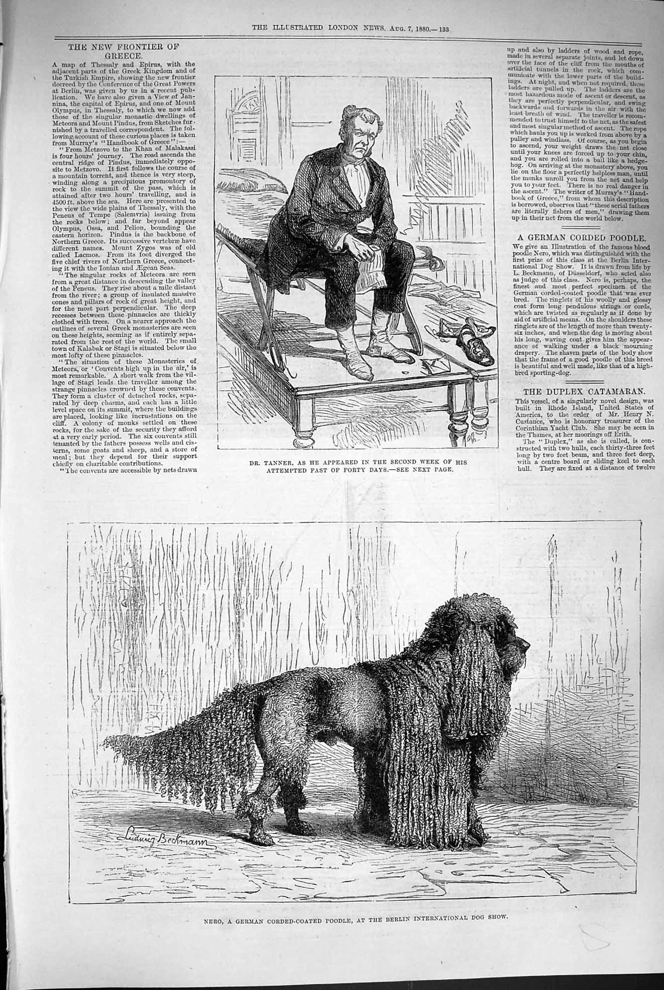 Original Old Antique Print 1880 Tanner Nero German Corded-Coated Poodle 19th
