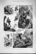 Original Old Antique Print 1880 Chamois Hunting Tyrol Mountains Shootin 19th