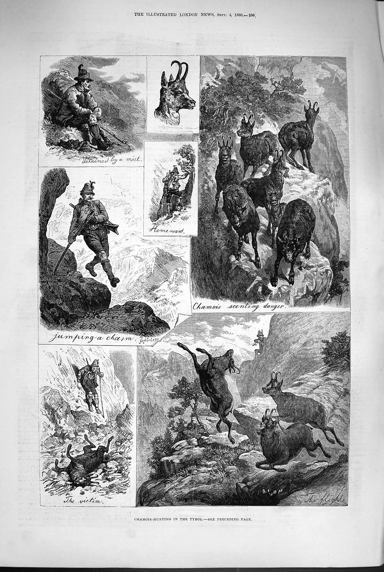 Original Old Antique Print 1880 Chamois Hunting Tyrol Mountains Shootin 19th