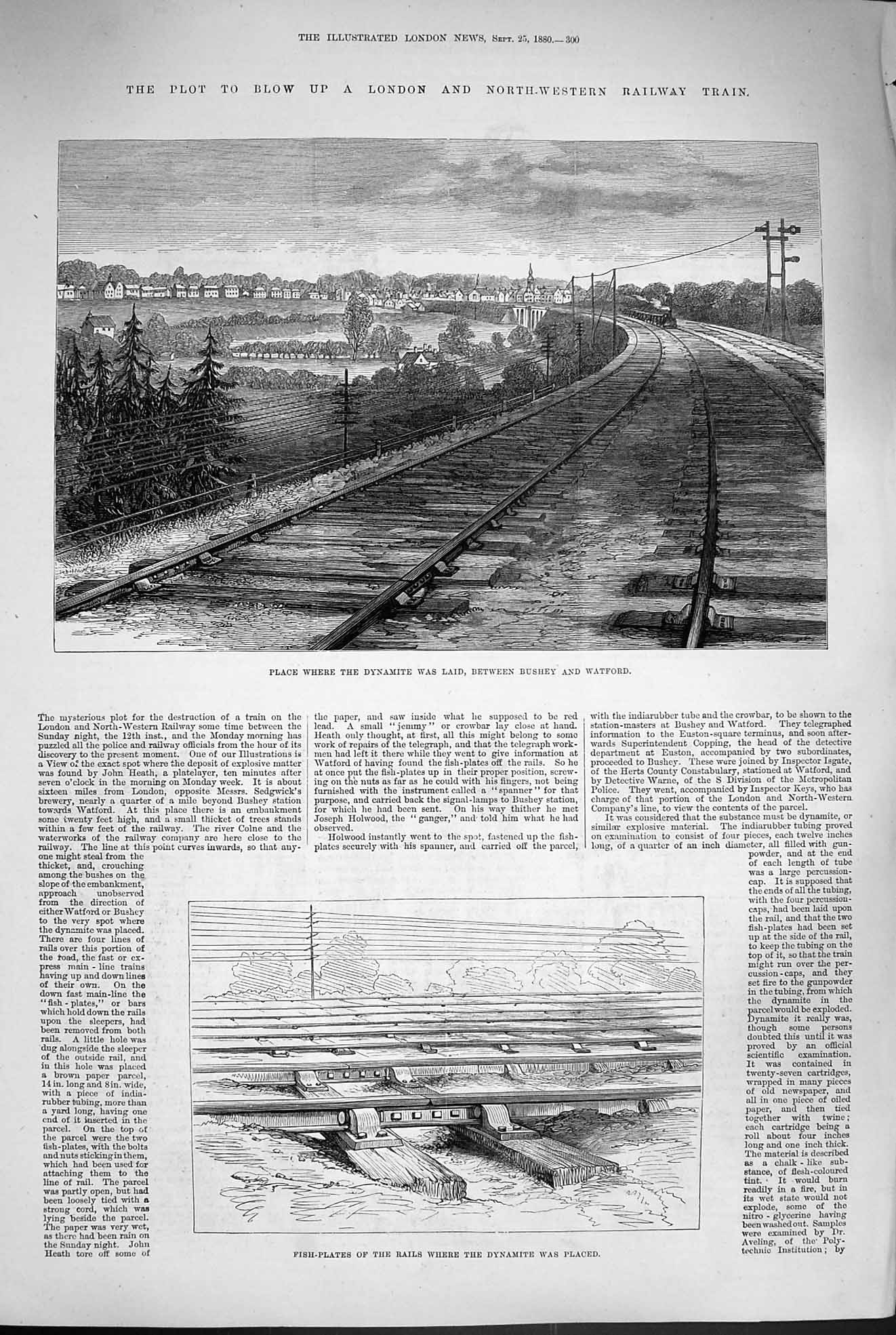 Old Antique Print 1880 Dynamite Railway Bushey Watford Goat Show Palace 19th