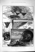 Original Old Antique Print 1880 Balloon Crystal Palace Long Hayling Isle Wight