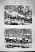 Old Antique Print 1880 Colorado Mining America Mules Revenue Mines Logs 19th