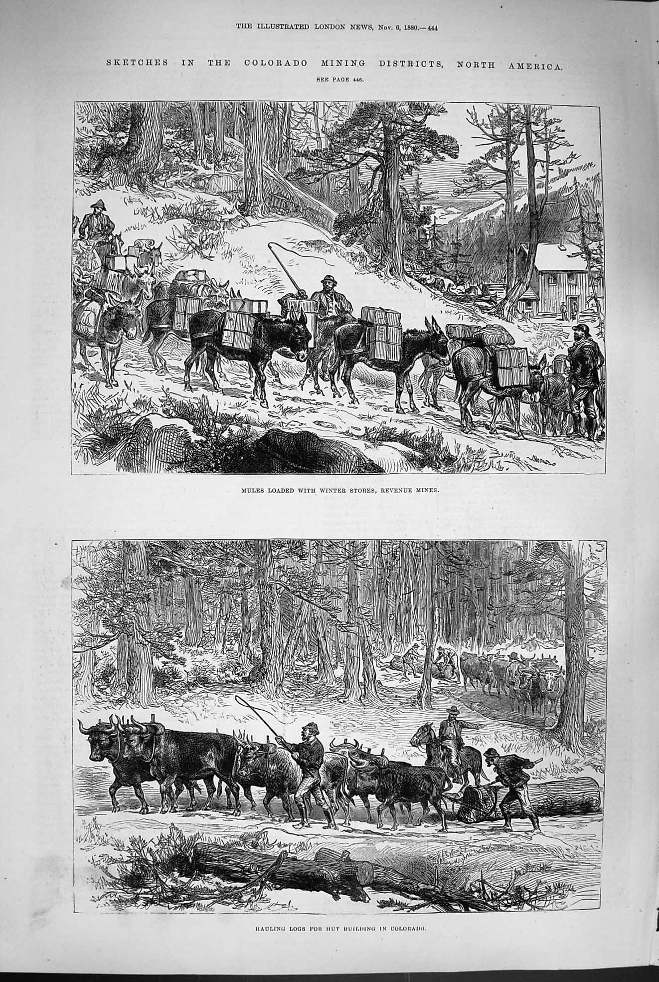 Old Antique Print 1880 Colorado Mining America Mules Revenue Mines Logs 19th