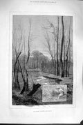 Original Old Antique Print 1880 November Scene Tree Forest Stream Nature 19th