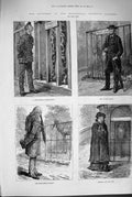 Old Antique Print 1880 Zoological Garden Marabou Minerva Owl Goat Giraffe 19th