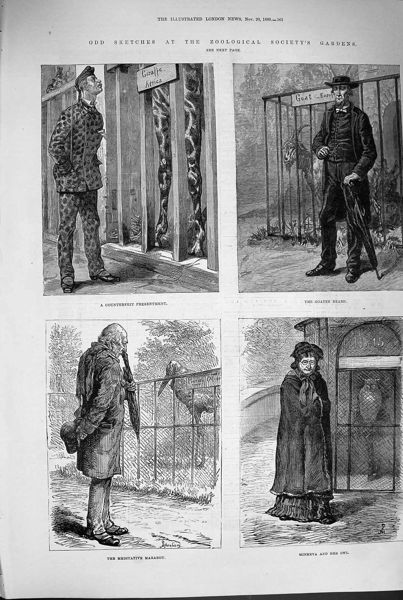 Old Antique Print 1880 Zoological Garden Marabou Minerva Owl Goat Giraffe 19th