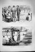 Old Antique Print 1880 Cricket Constantinople Shark Port Louis Mauritius 19th