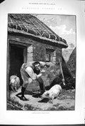 Old Antique Print 1880 Man Private Shave County Galway Ireland Pig Farm 19th
